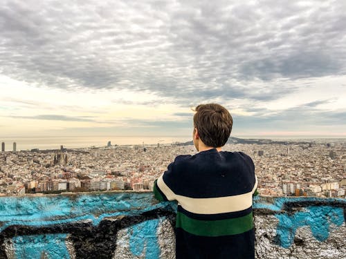 Free Back View of Man in Sweater Looking at the View  Stock Photo