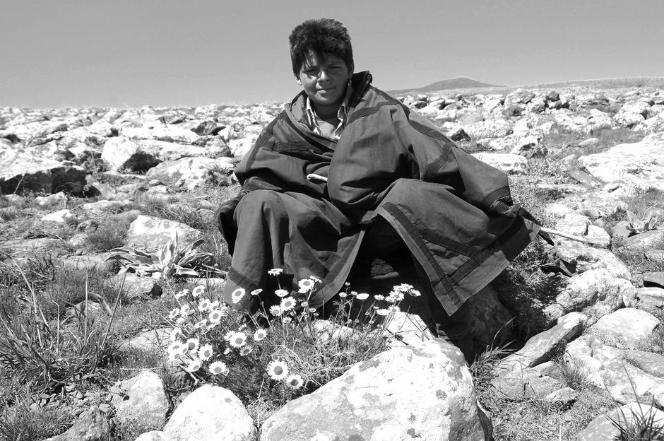 Young boy sitting among rocks and daisies in Karacadağ, Şanlıurfa.