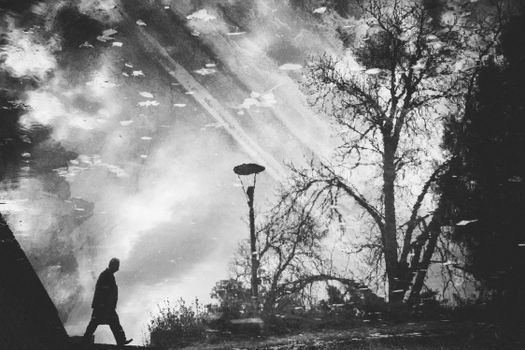 一幅黑白图画描绘了阴雨天气中，一名不露面的男子在树木和手电筒照亮的街道上行走