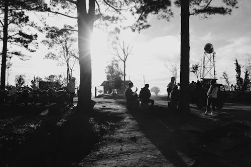 Black and white of anonymous travelers wearing casual outfits pastime together in park near trees