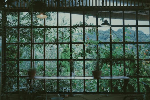 Tranquil indoor garden view with lush greenery through a large window pane.