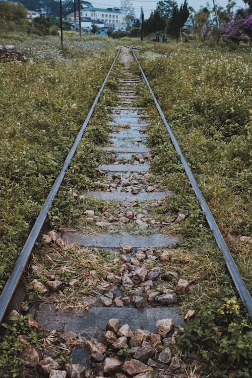 Railroad tracks on green grass in daytime