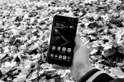 Grayscale Photo of Person Holding Smartphone 