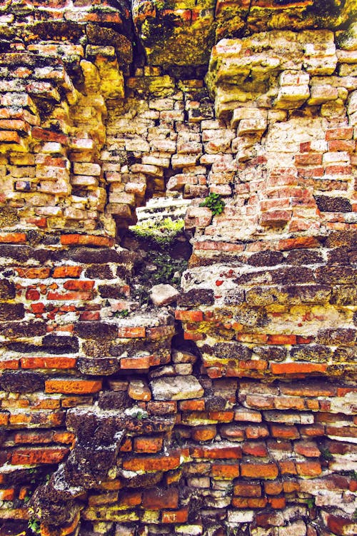 Gratis stockfoto met baksteen, muur, oranje muur