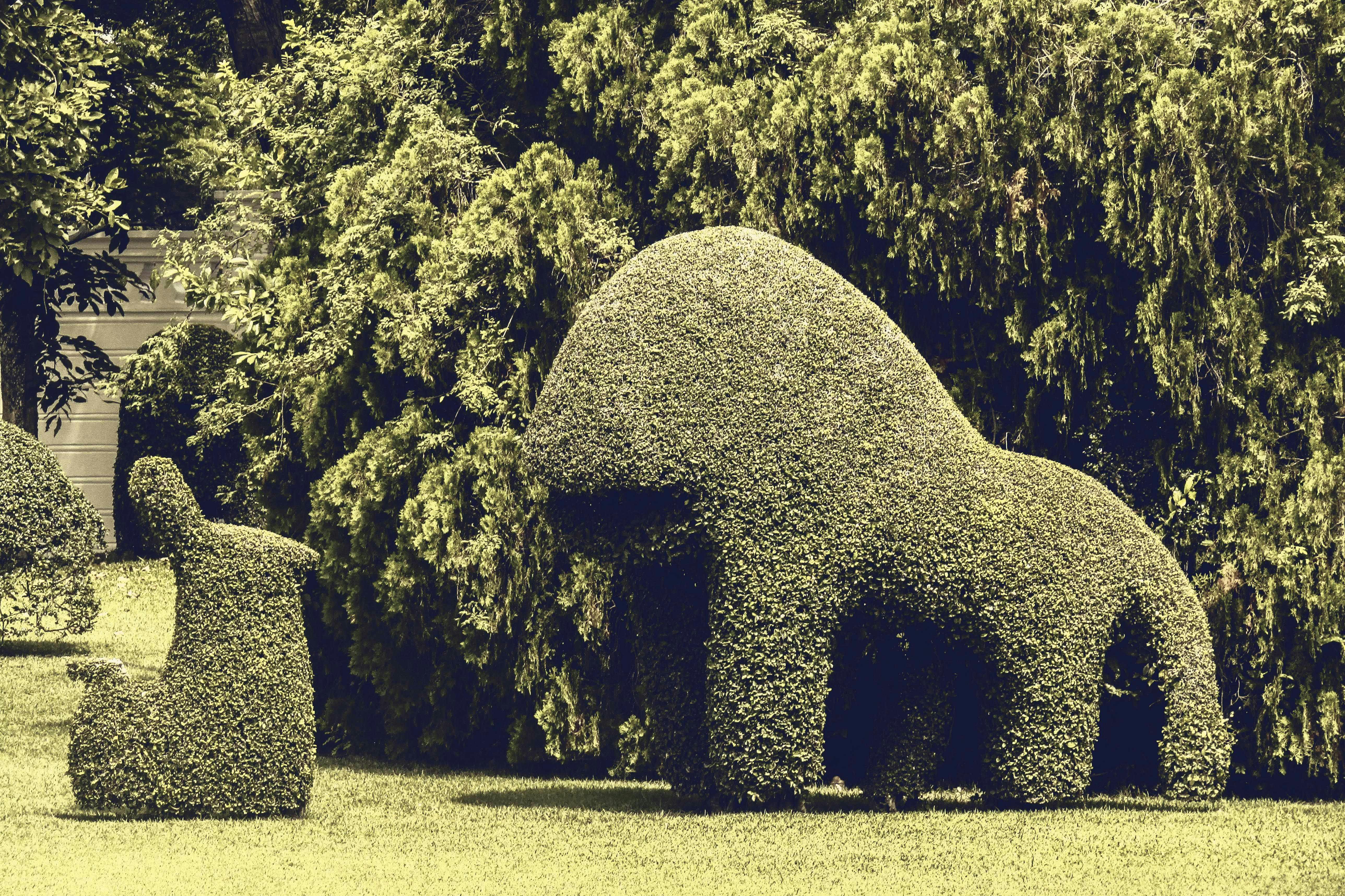 在阳光明媚的花园里，郁郁葱葱的绿色灌木丛被修剪成动物形状的雕塑