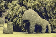 在阳光明媚的花园里，郁郁葱葱的绿色灌木丛被修剪成动物形状的雕塑