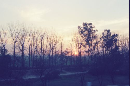 Free stock photo of sun set Stock Photo