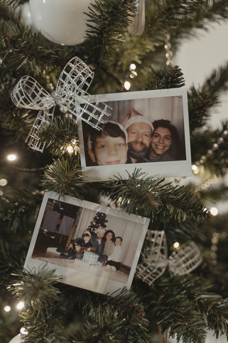 Printed Pictures On Christmas Tree 