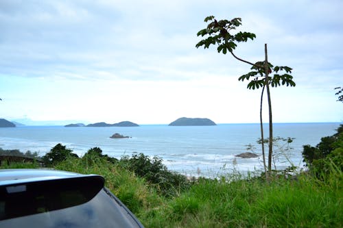 卡拉瓜塔图巴, 夏天, 島嶼 的 免费素材图片