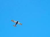 White and Black Plane in the Sky