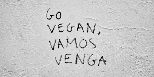 Gratis lagerfoto af gå vegansk, håndskrift, tekst
