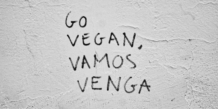 Black graffiti 'Go Vegan, Vamos Venga' on a textured wall promotes veganism.