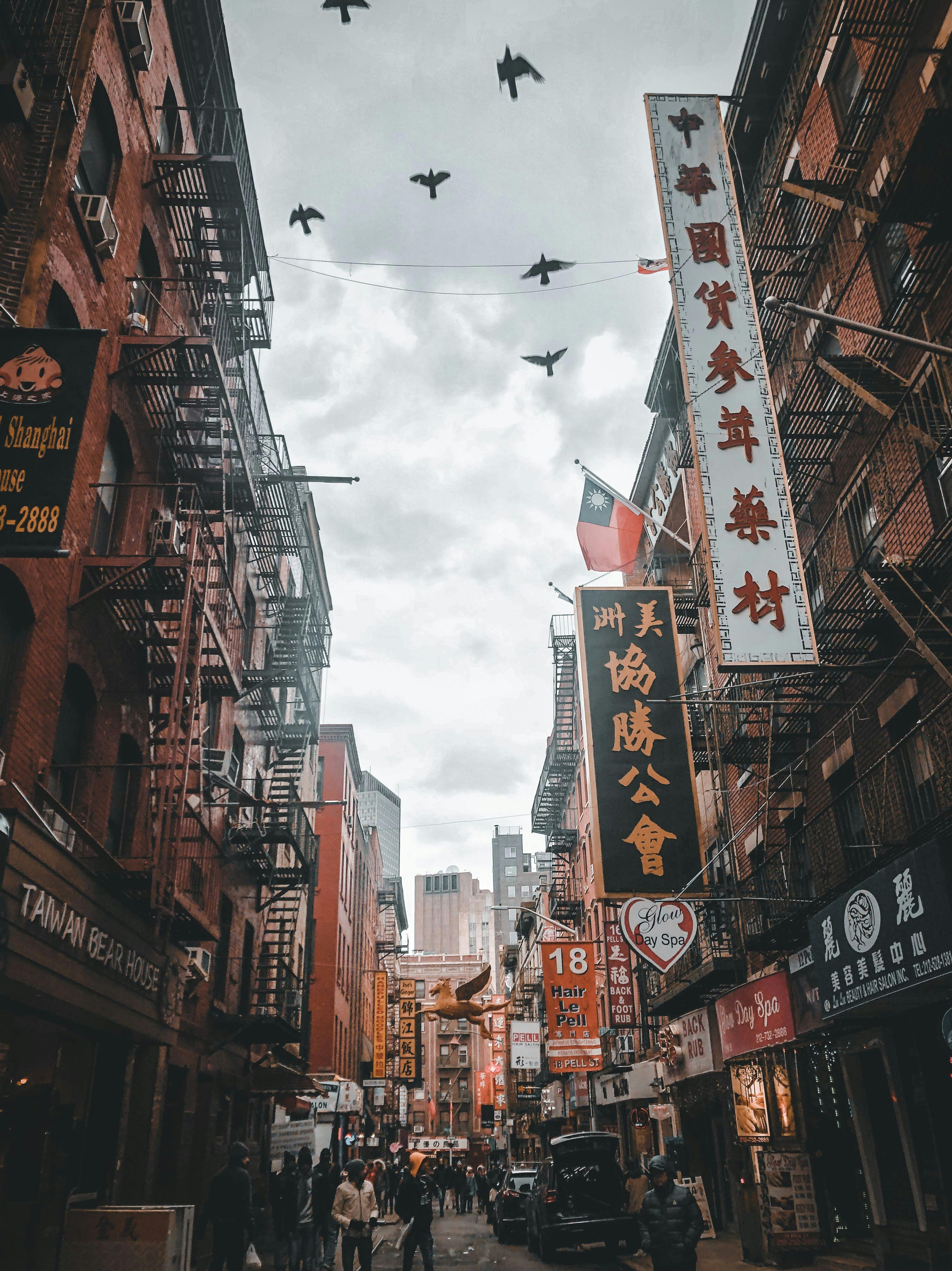 China Town, Chinatown Night HD wallpaper | Pxfuel