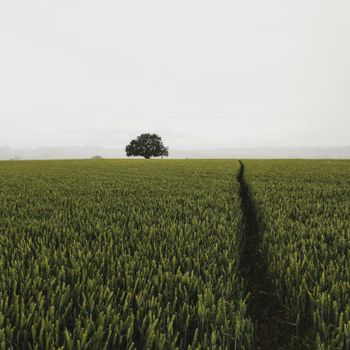 Provide Space for Growth 