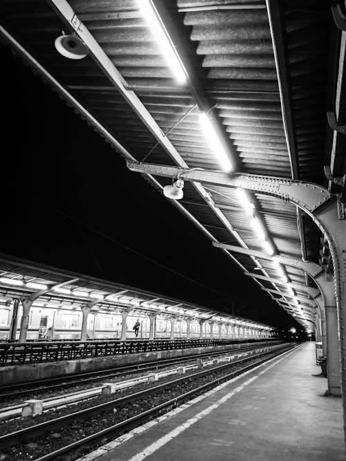 Grayscale Photo of Train Station