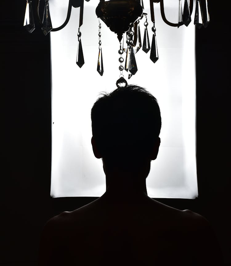 Black And White Photo Of Head Silhouette And Chandelier