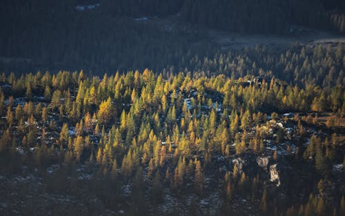 Aerial View of Green Mountains in the Mountains