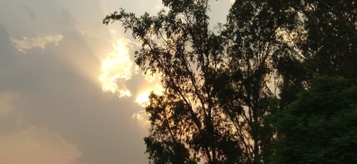 Free stock photo of sun set Stock Photo
