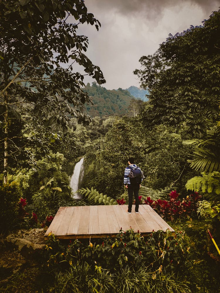 Person Standing On A Wooden Viewing Deck Overlooking Forest And Waterfalls