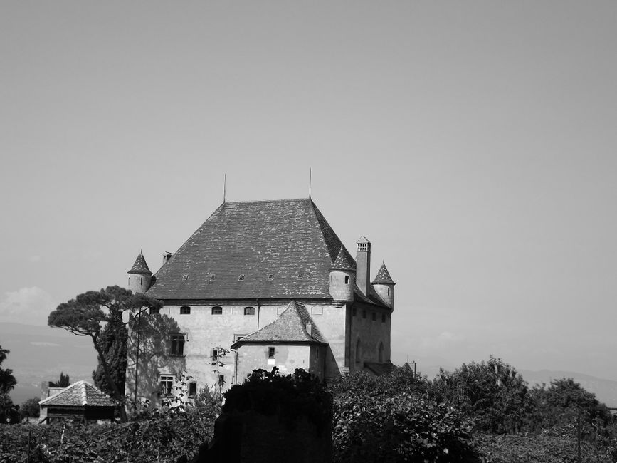 Black and white photo of a historic castle under a clear sky, surrounded by natural scenery.