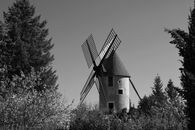 Grayscale Photo of House Near Trees