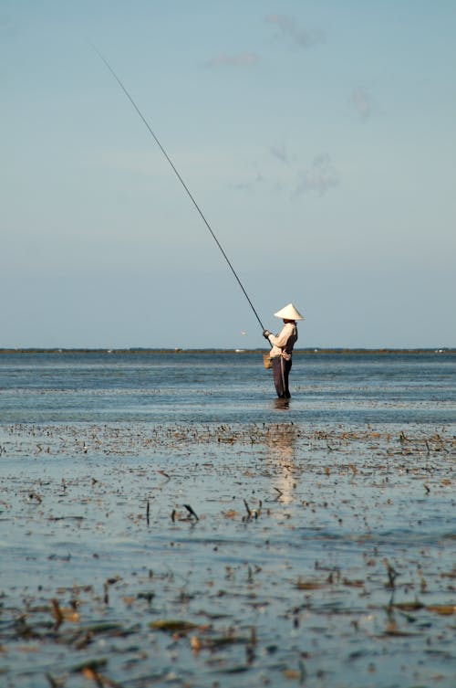 Ingyenes stockfotó ég, farmer, függőleges lövés témában