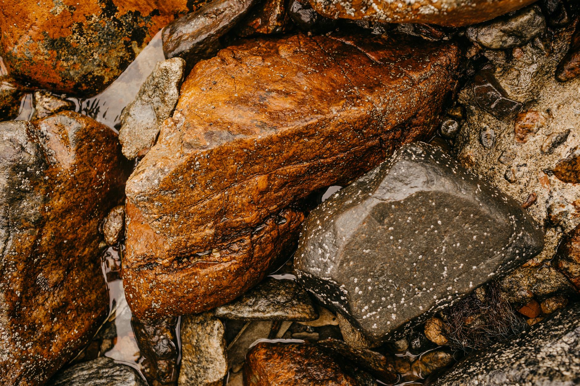 Indian Startup Aims to Disrupt China's Rare Earth Market