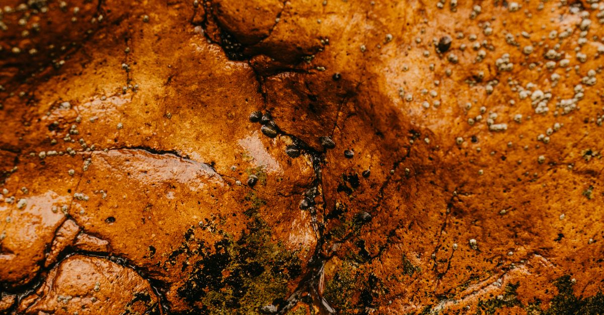 Rust Boulder Textured surface of wet rusty boulder · Free Stock Photo