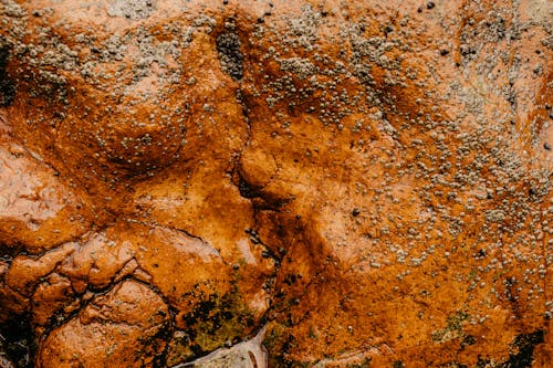 Abstract background of rough rusty wet stone in sunlight