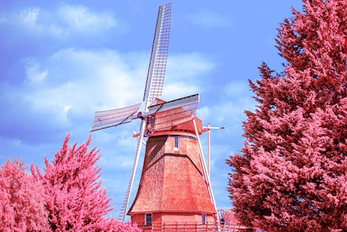 bezplatná Základová fotografie zdarma na téma alternativní energie, Holandsko, korekce barev Základová fotografie