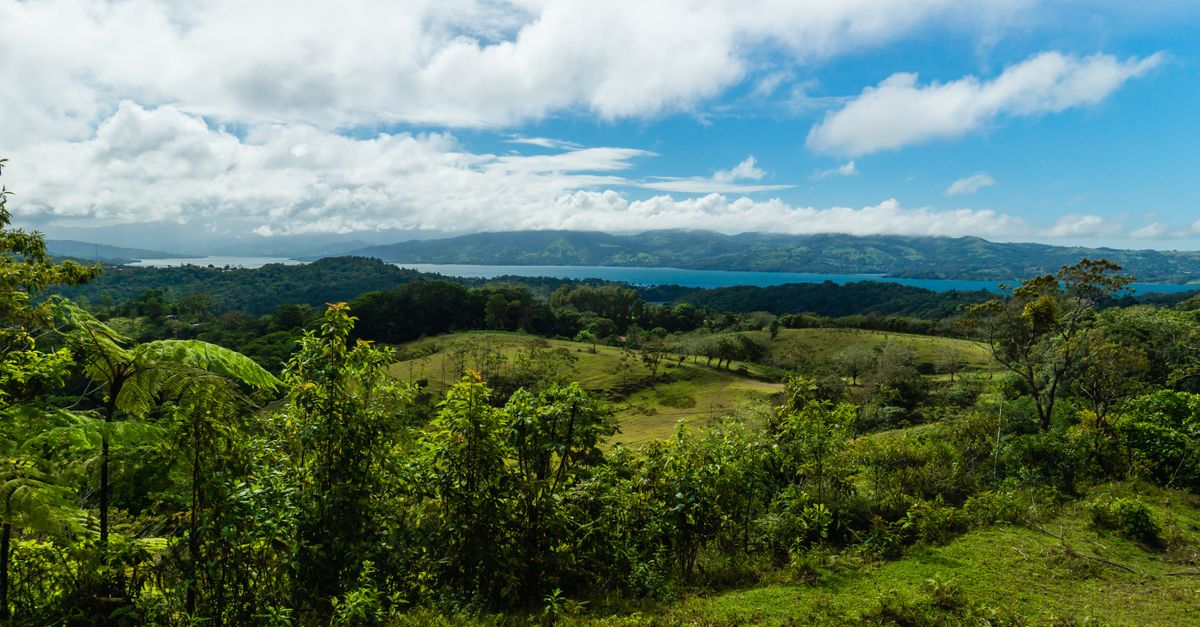 Costa Rica: casos de RSE que integran carbono neutralidad y conservación de biodiversidad Costa Rica: casos de RSE que integran carbono neutralidad y conservación de biodiversidad