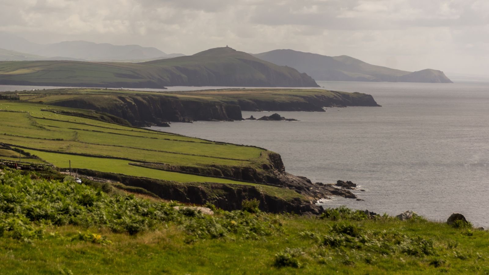 Green fields stitched with old stone walls falling away to the Atlantic Ocean on the Dingle Peninsula in County Kerry, Ireland