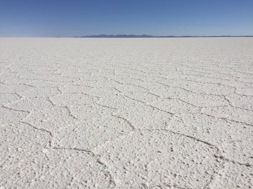 Close-up of Arid Desert Ground