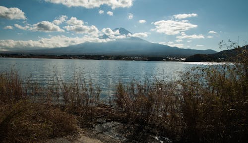 Scenery with Lake and Mountain