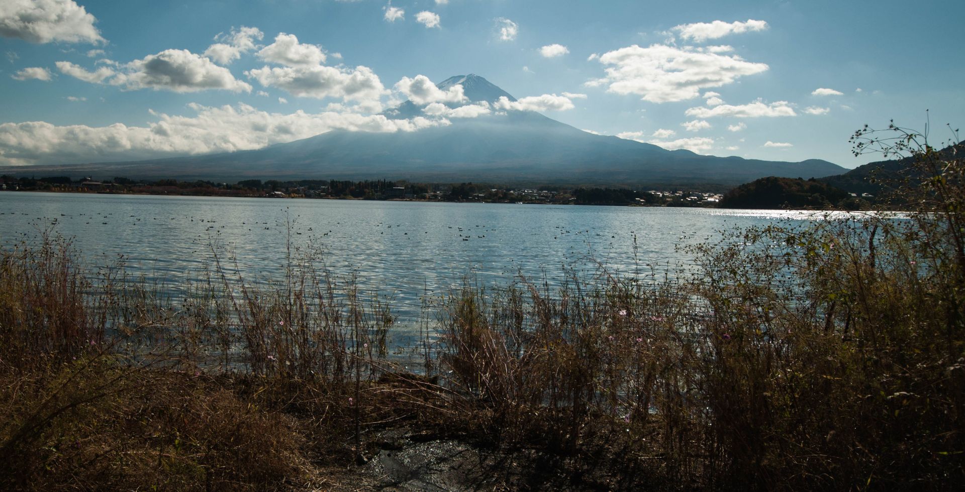 Mount Fuji
