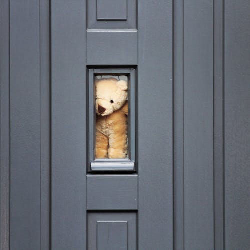 Foto stok gratis hilang arah, jendela, mainan beruang