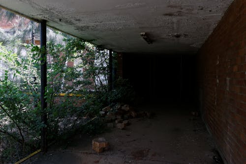 Foto d'estoc gratuïta de abandonat, edifici abandonat, entrada