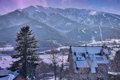 Free Fotos de stock gratuitas de alpino, arboles, cubierto de nieve Stock Photo