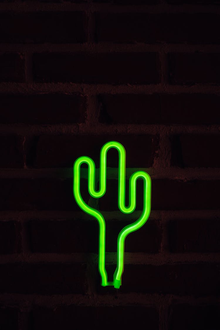 A Cactus Neon Sign