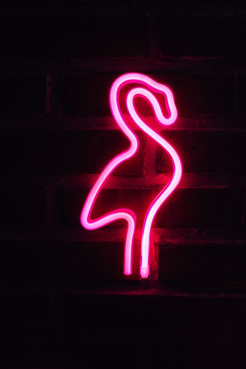 Free A neon pink flamingo sign glowing brightly against a dark brick wall, perfect for decor. Stock Photo