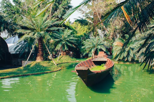 Wooden Boat on Water in Tropical Forest