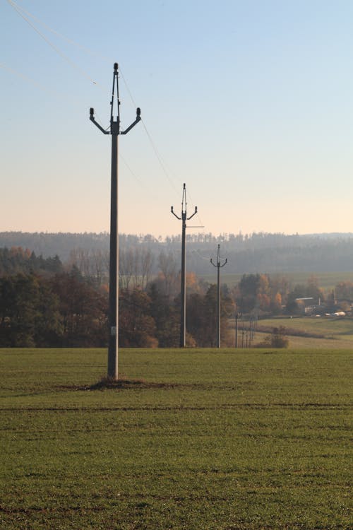 Gratis stockfoto met bomen bos, dorp, elektrische bedrading