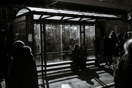 城市人行道附近，一座带玻璃墙屋顶的公交车站旁，庄稼地里有一张匿名的黑白照片