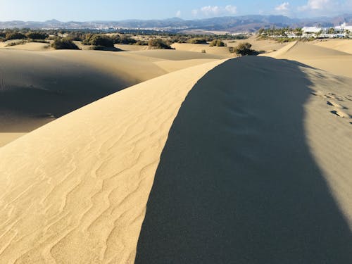 A Brown Sand Field