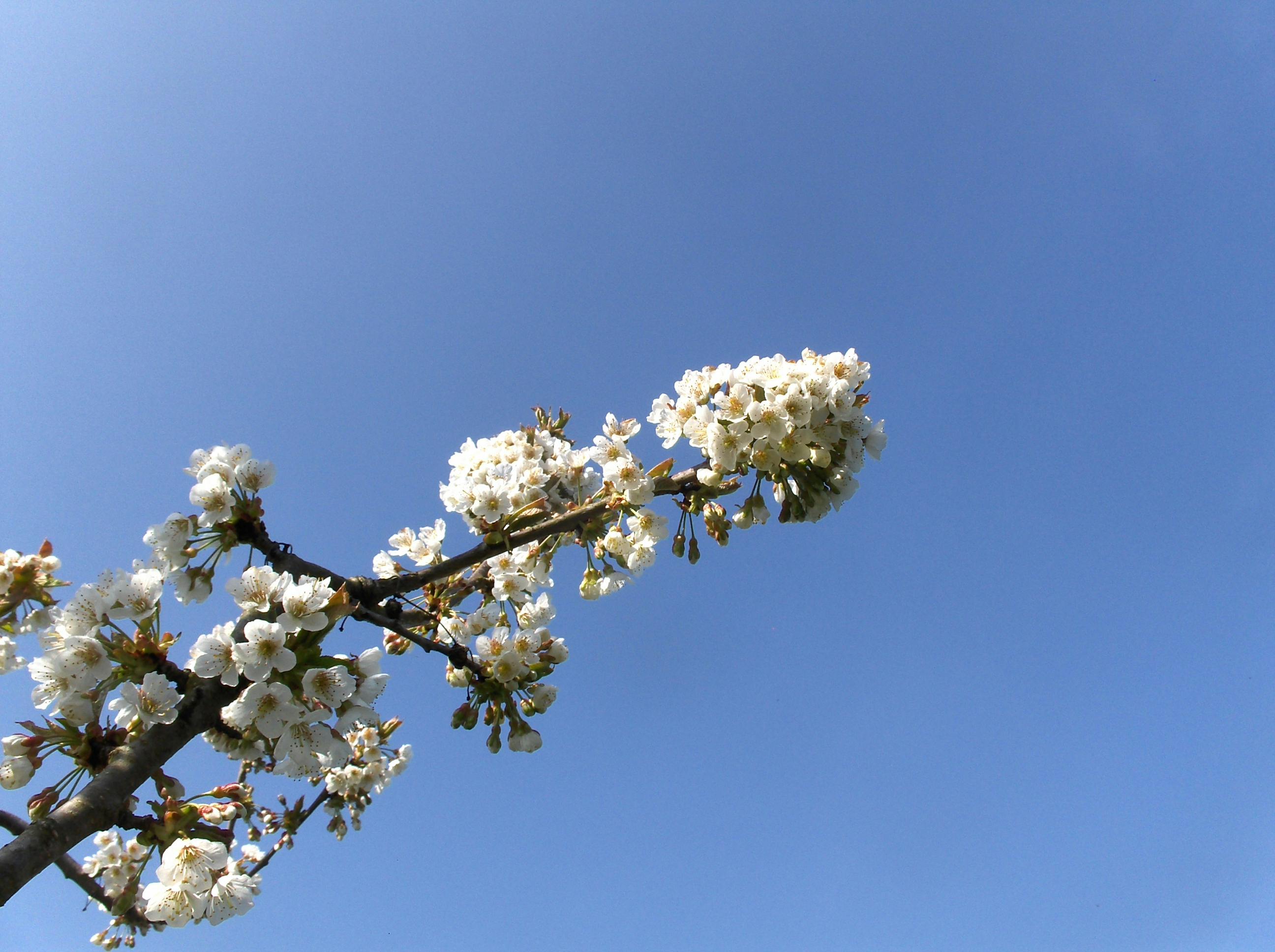 ML ARANDA Fotografía