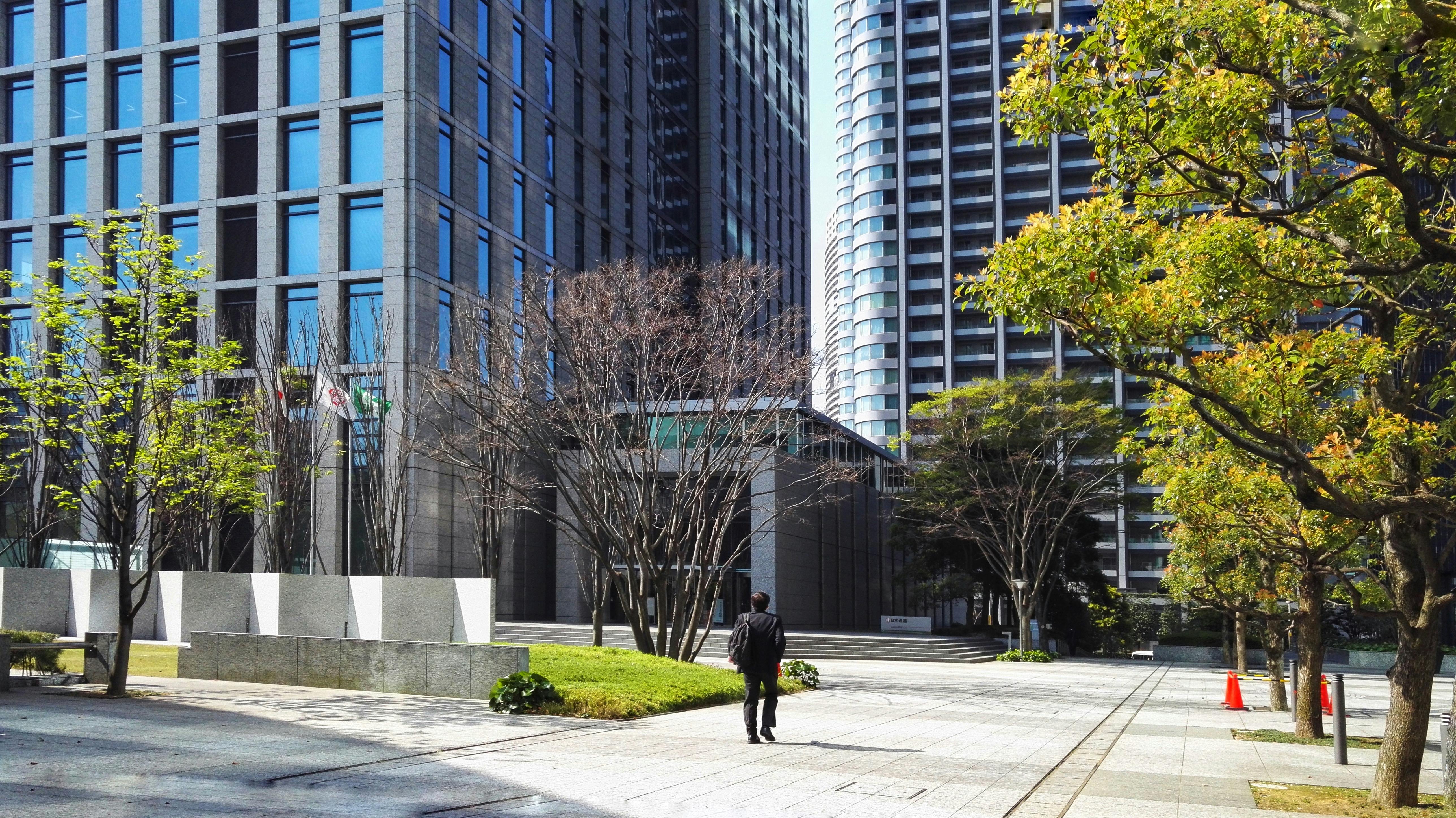 Back View of a Man Walking in a Park at Downtown · Free Stock Photo