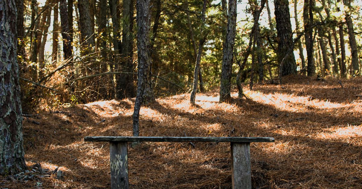 Hypnose et deuil périnatal : comment apaiser la peine