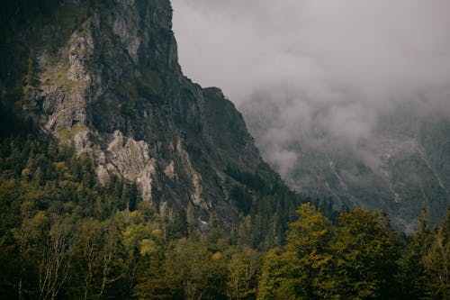 Peaceful remote ridge of high rocky mountains covered with green pine trees and foggy cloud