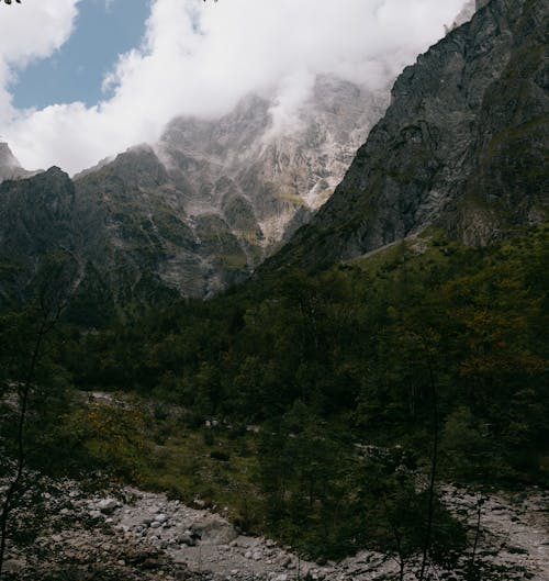 Wild peaceful terrain with mountains