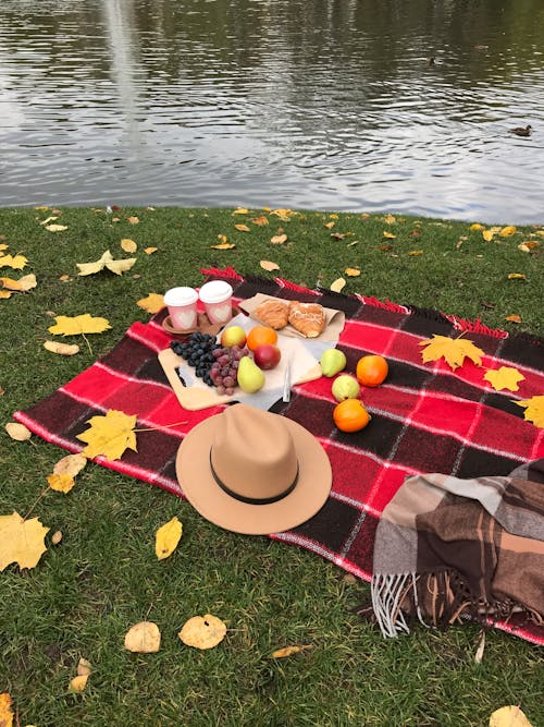 fedoraの帽子, パーク, ピクニックの無料の写真素材